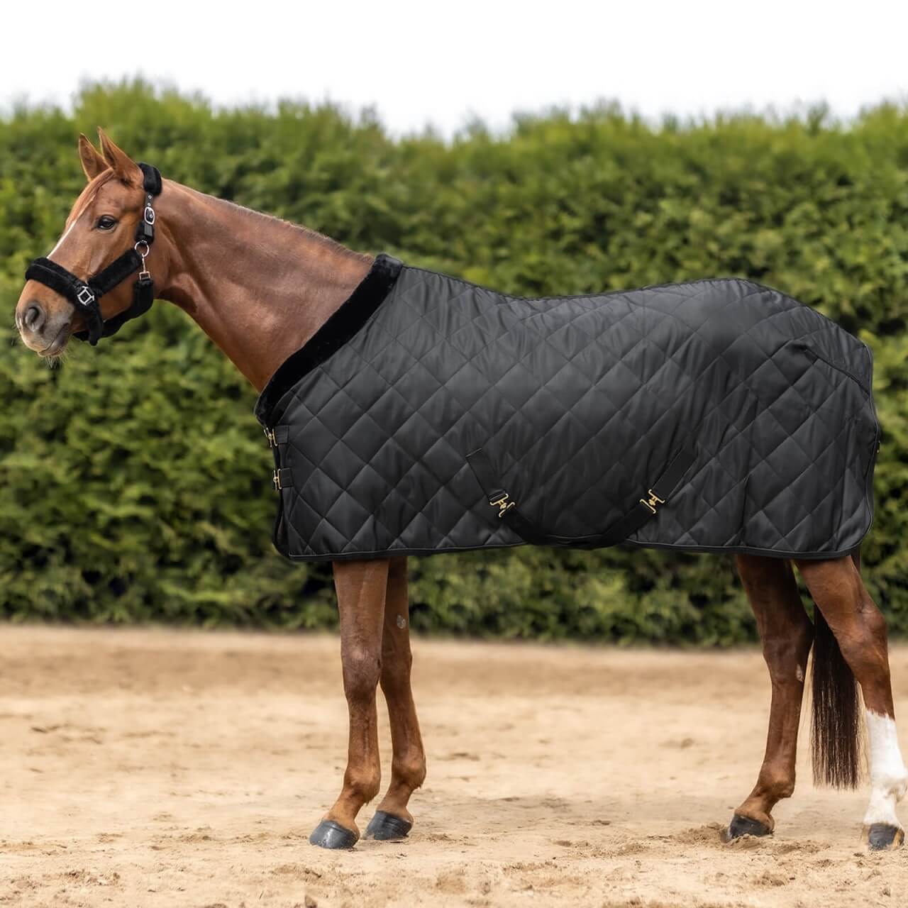 Waldhausen Transportdecke 50g Exclusive Waldhausen Transportdecke 50g Exclusive