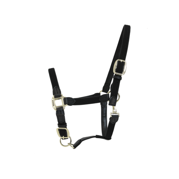 Kentucky Horsewear Stallhalfter Plaited Nylon Halfter Nylonhalfter Kentucky Horsewear Stallhalfter Plaited Nylon Halfter Nylonhalfter