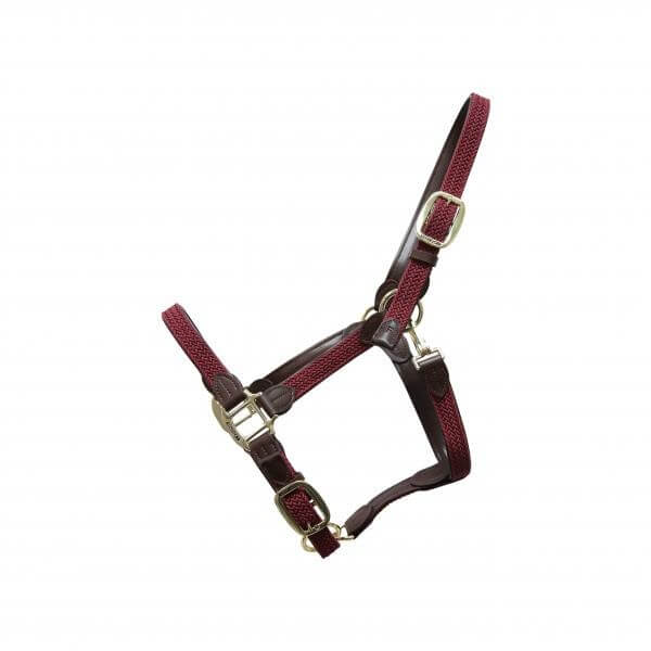 Kentucky Horsewear Stallhalfter Plaited Nylon Halfter Nylonhalfter Kentucky Horsewear Stallhalfter Plaited Nylon Halfter Nylonhalfter