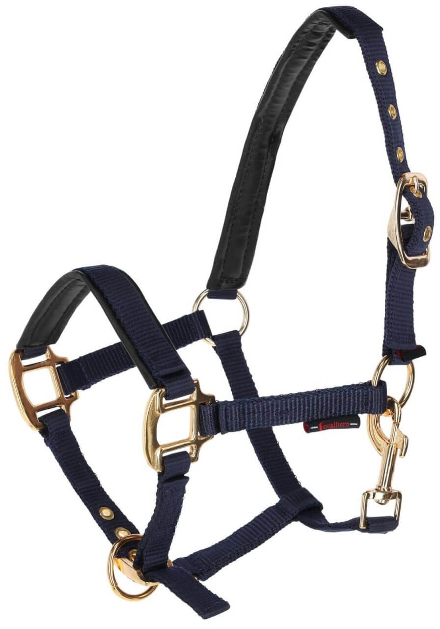 Covalliero Fohlenhalfter TopLine Covalliero Fohlenhalfter TopLine