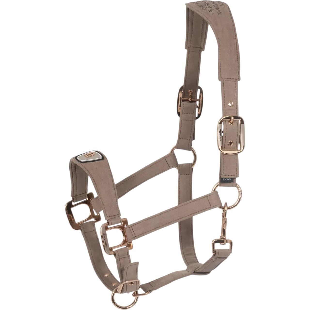 Cavallo Halfter CAVALPAWEL FS 2026 Nylonhalfter Cavallo Halfter CAVALPAWEL FS 2026 Nylonhalfter