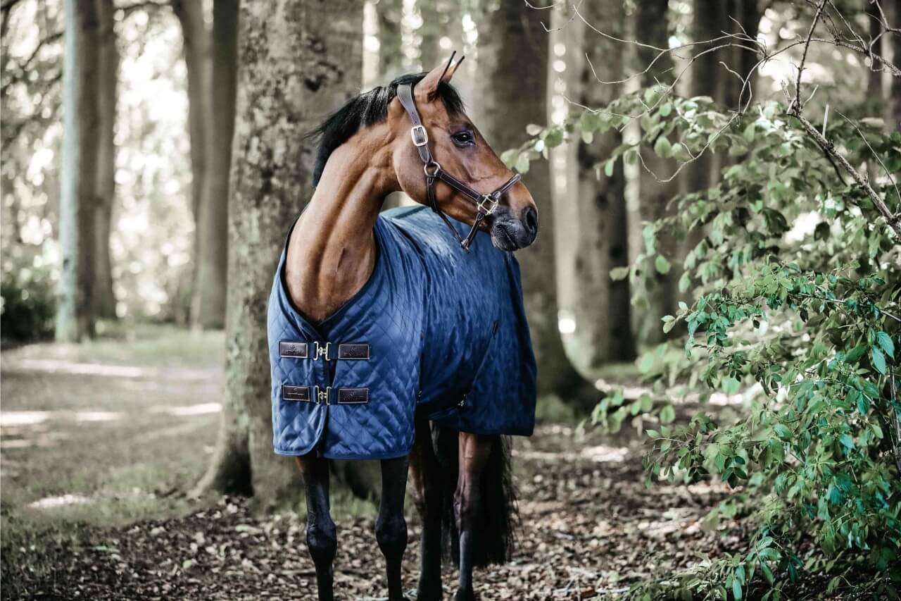 TitelbildAHnCLNcRlwquk