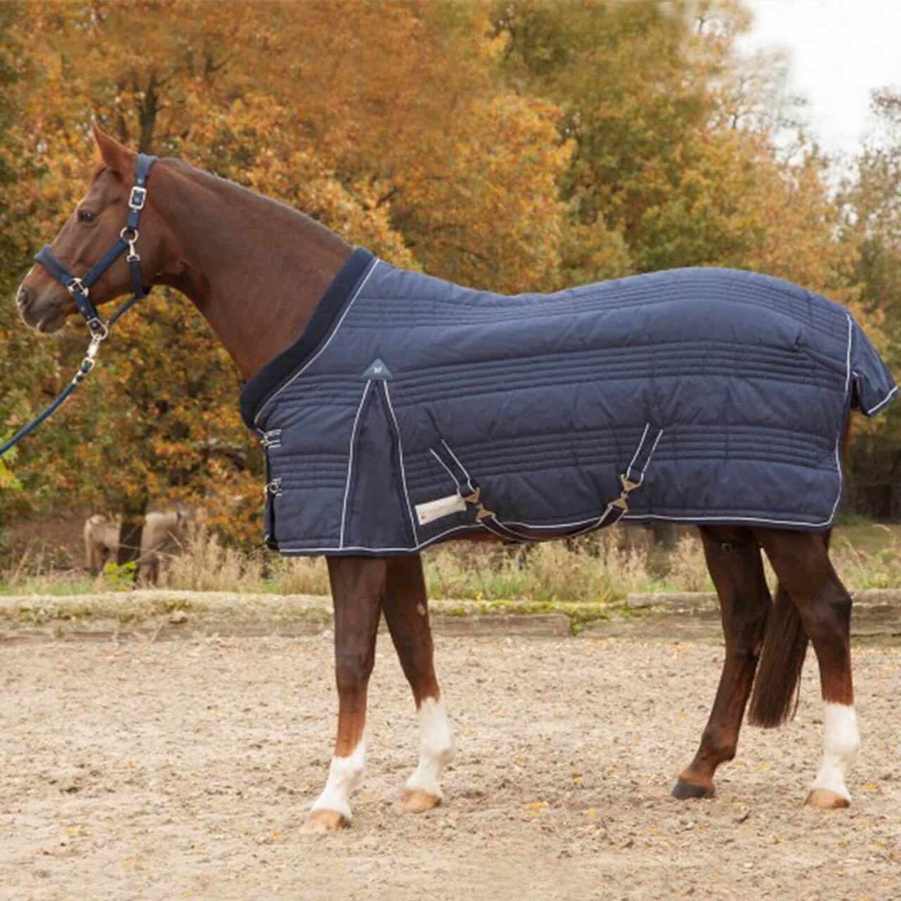 Waldhausen Stalldecke 300g Comfort Decke Waldhausen Stalldecke 300g Comfort Decke