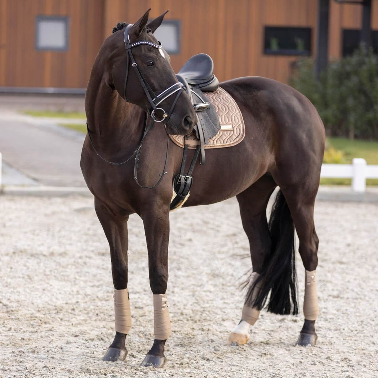 Imperial Riding Bandagen IRHLovely HW 2023 Imperial Riding Bandagen IRHLovely HW 2023