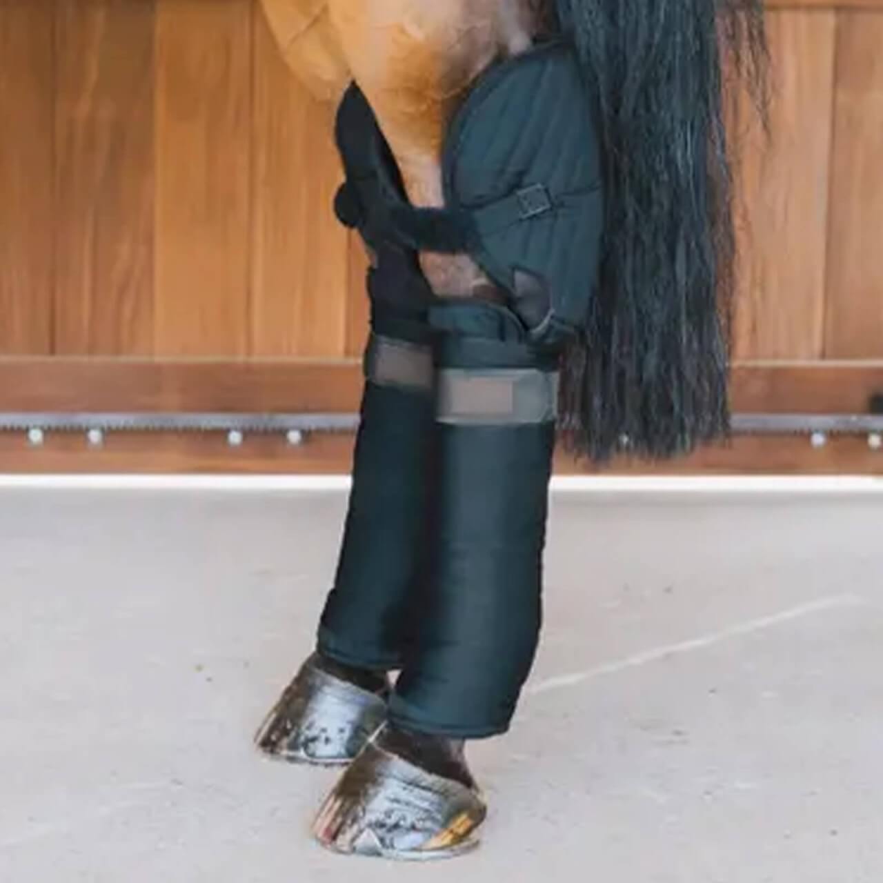 Kentucky Horsewear Transport- und Stallbandagierunterlagen mit Sprunggelenkschutz Transportgamaschen Kentucky Horsewear Transport- und Stallbandagierunterlagen mit Sprunggelenkschutz Transportgamaschen