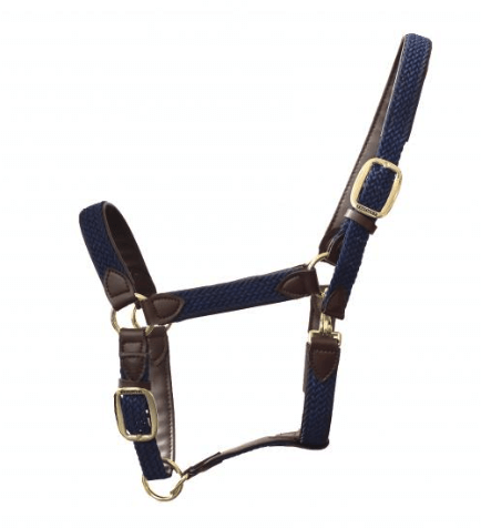 Kentucky Horsewear Stallhalfter Plaited Nylon Halfter Nylonhalfter Kentucky Horsewear Stallhalfter Plaited Nylon Halfter Nylonhalfter