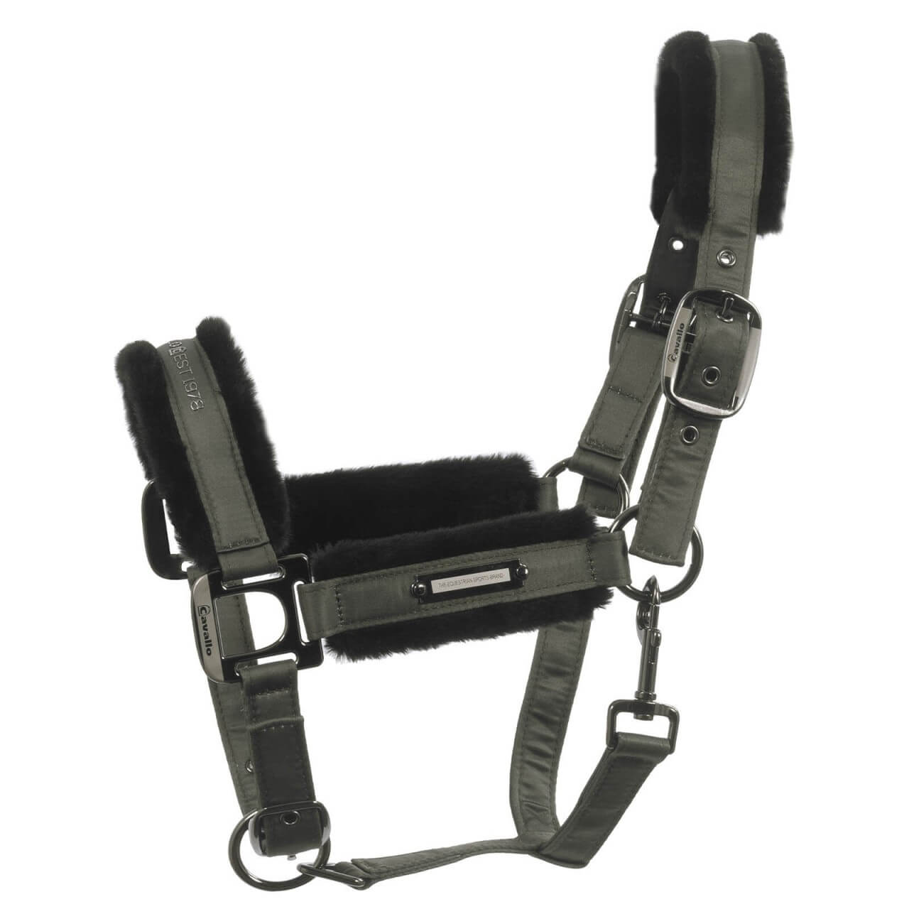 Cavallo Halfter CAVALJANY HW 2023 Nylonhalfter Cavallo Halfter CAVALJANY HW 2023 Nylonhalfter