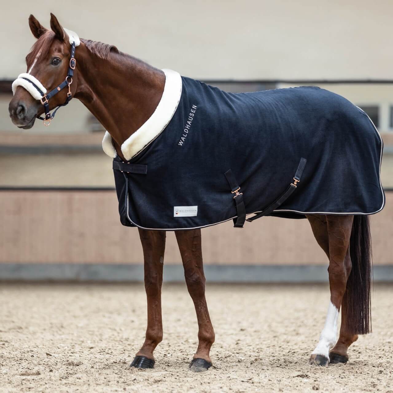 Waldhausen Abschwitzdecke Modern Rosé Waldhausen Abschwitzdecke Modern Rosé