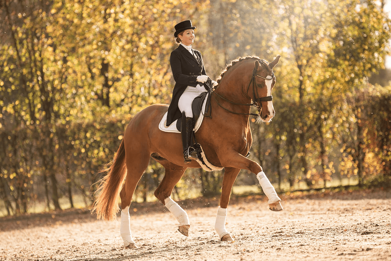 MicrosoftTeams-image-126