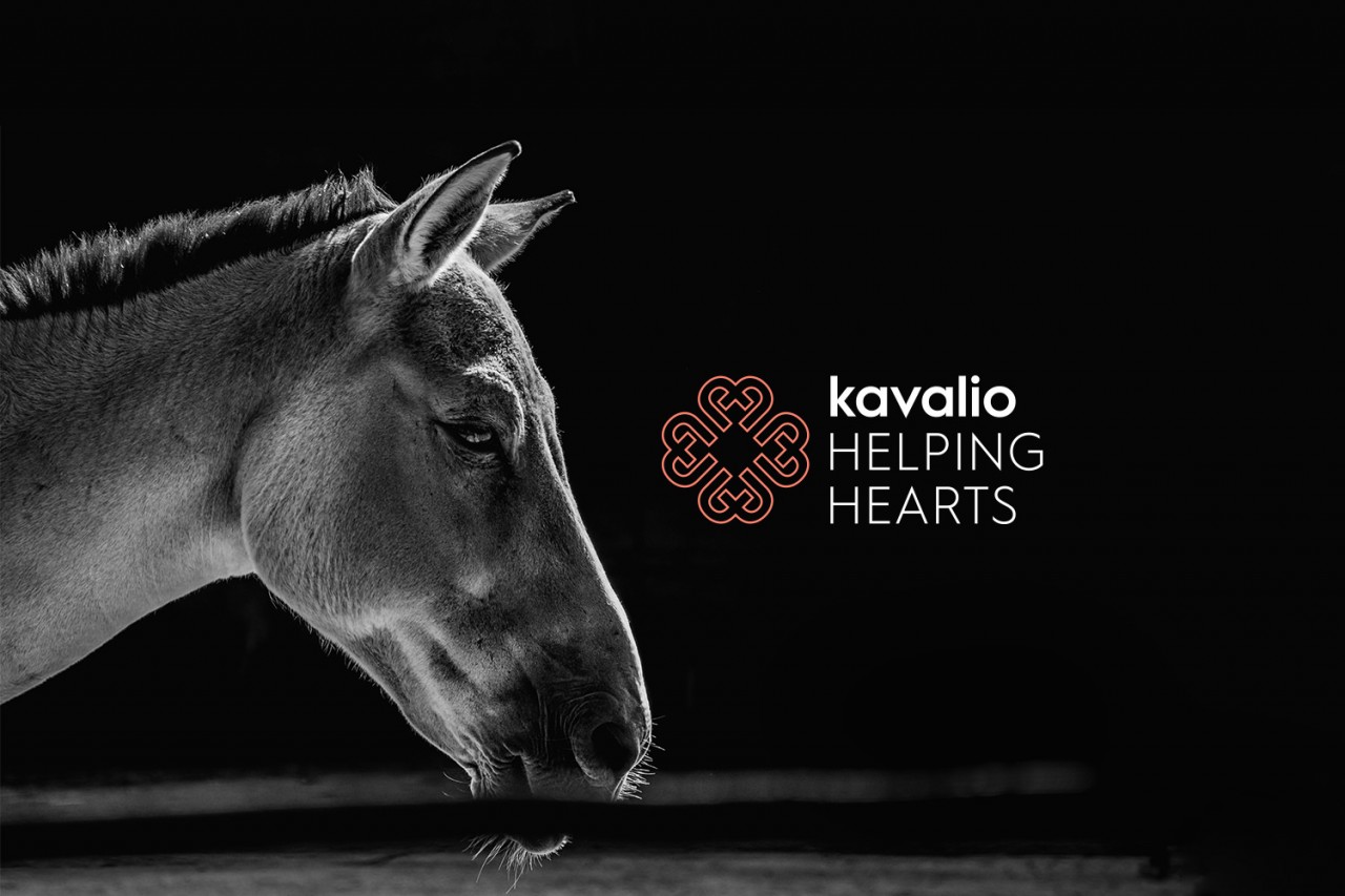 2019-02-11-kavalio-stories-helpinghearts