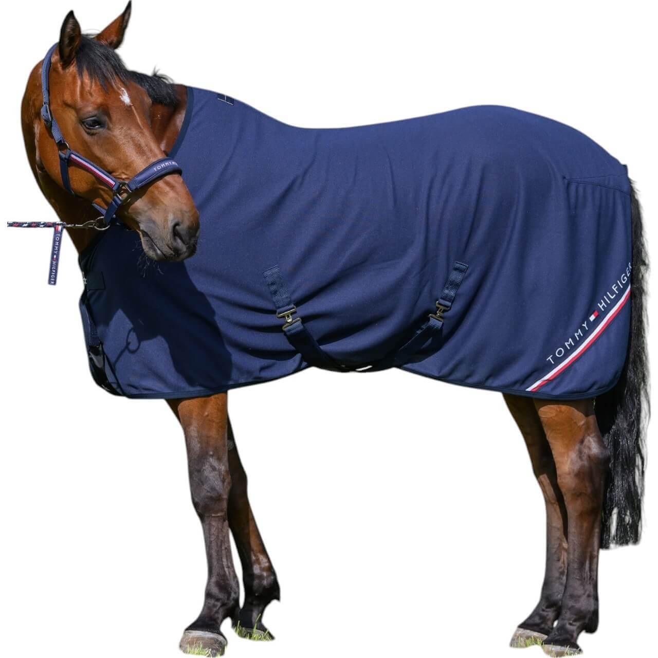Tommy Hilfiger Equestrian Abschwitzdecke Cornell Mini Waffle Fleecedecke Tommy Hilfiger Equestrian Abschwitzdecke Cornell Mini Waffle Fleecedecke