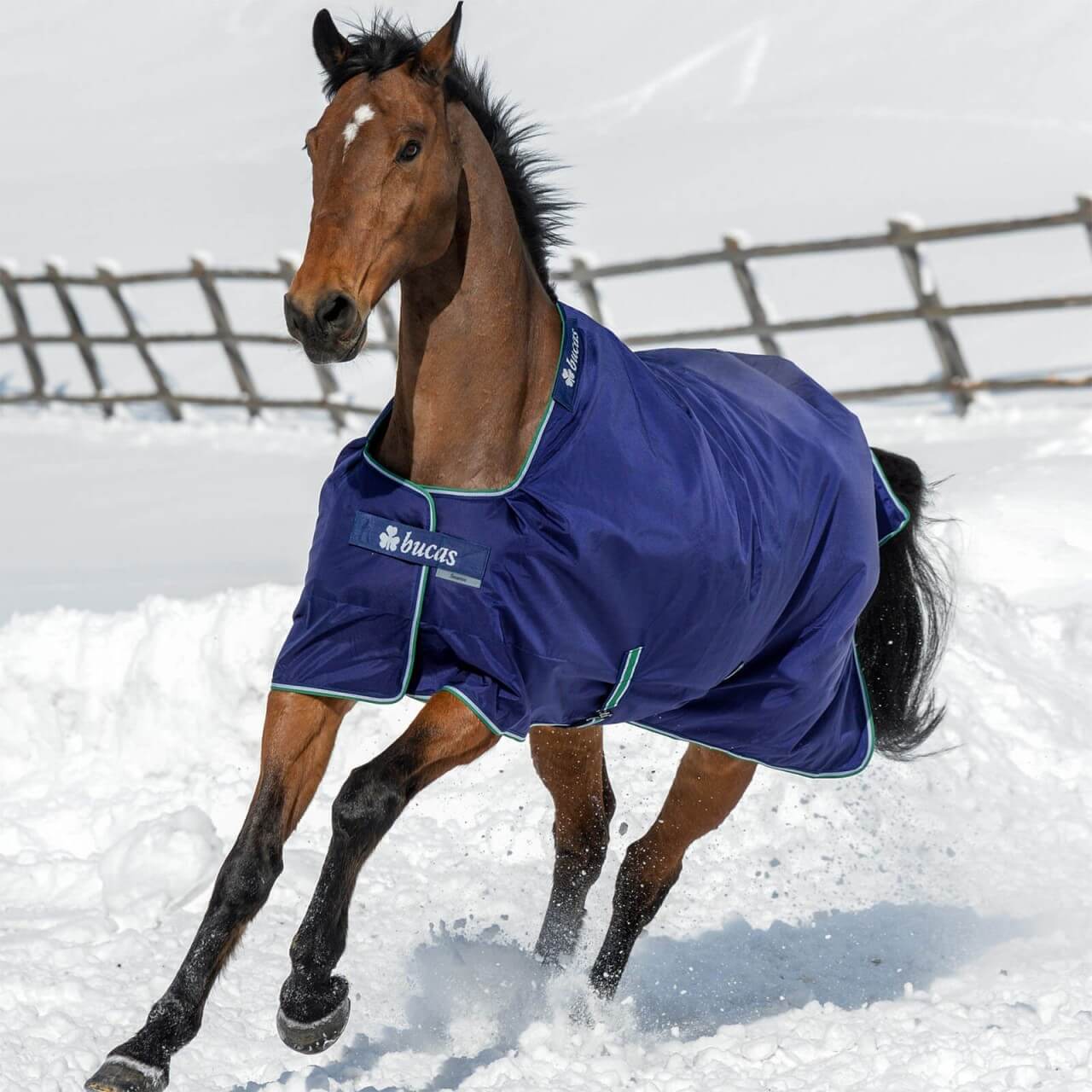 Bucas Outdoordecke 0g Smartex Turnout Rain Regendecke Bucas Outdoordecke 0g Smartex Turnout Rain Regendecke