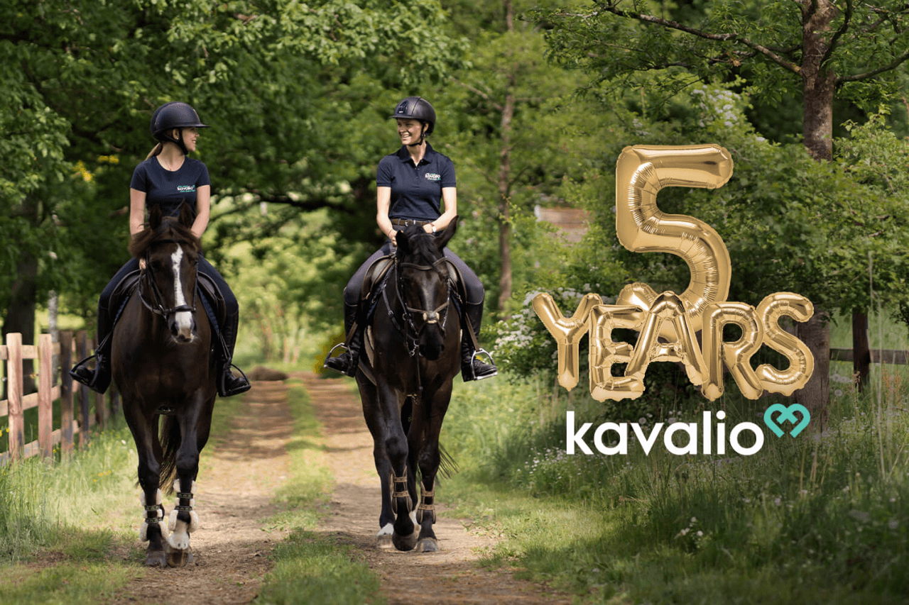 MicrosoftTeams-image-135