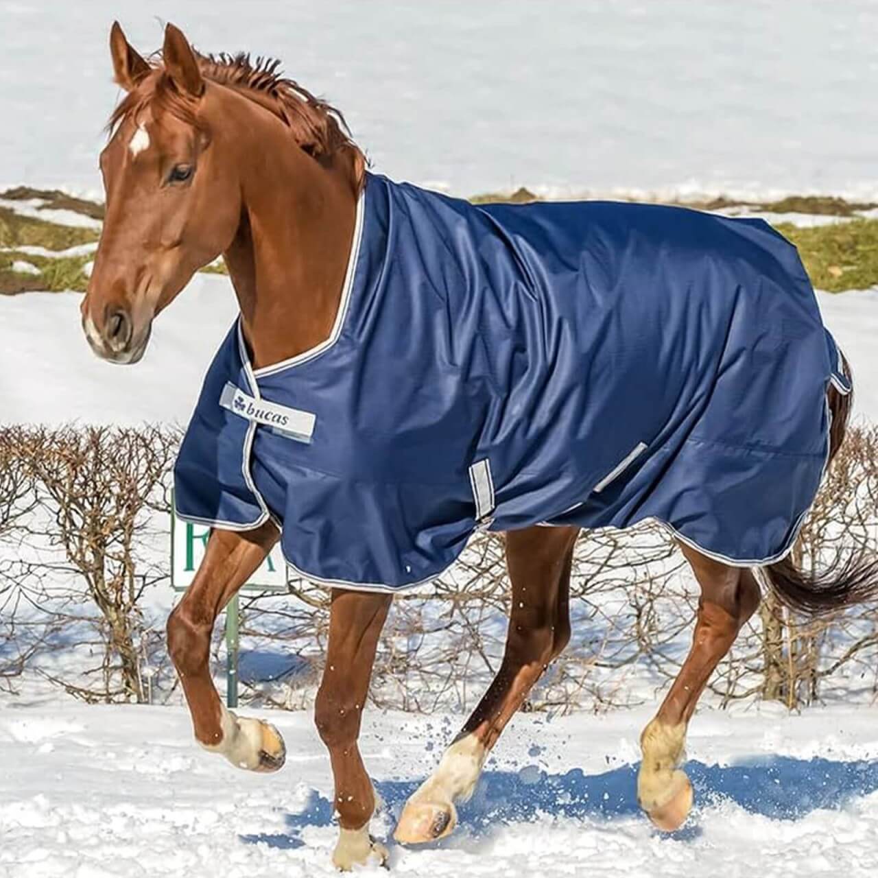 Bucas Outdoordecke 0g Freedom Turnout Light High Neck Regendecke Bucas Outdoordecke 0g Freedom Turnout Light High Neck Regendecke
