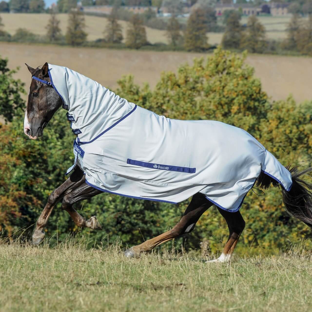 Bucas Fliegendecke Buzz-Off Full Neck Decke Bucas Fliegendecke Buzz-Off Full Neck Decke