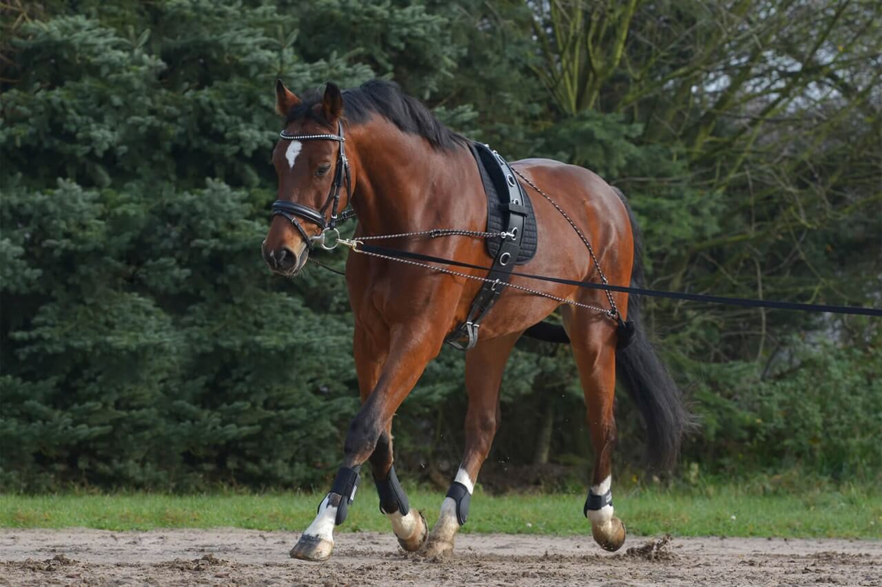 Titelbild2R8d8L1ae8zu0