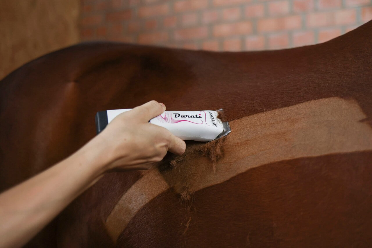 170727_mood01_XT434-WP