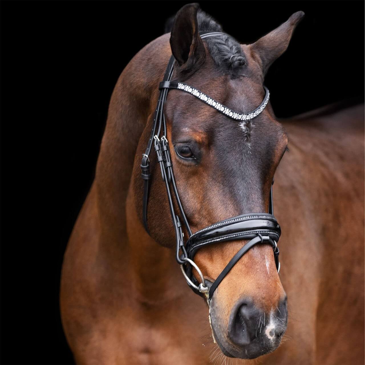 Imperial Riding Trense IROlympia HW 2023 Zaumzeug Imperial Riding Trense IROlympia HW 2023 Zaumzeug