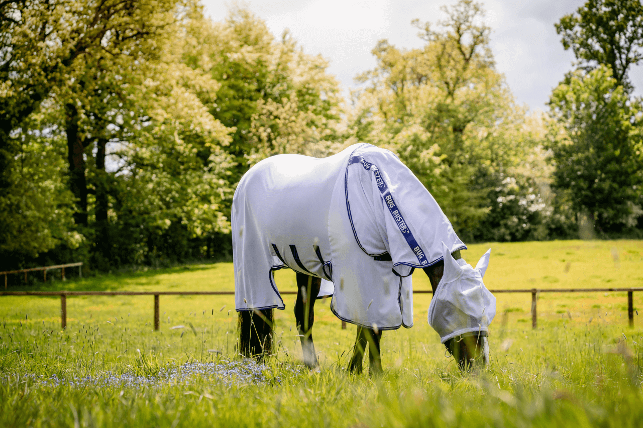 Bildschirmfoto-2025-04-01-um-14-49-28