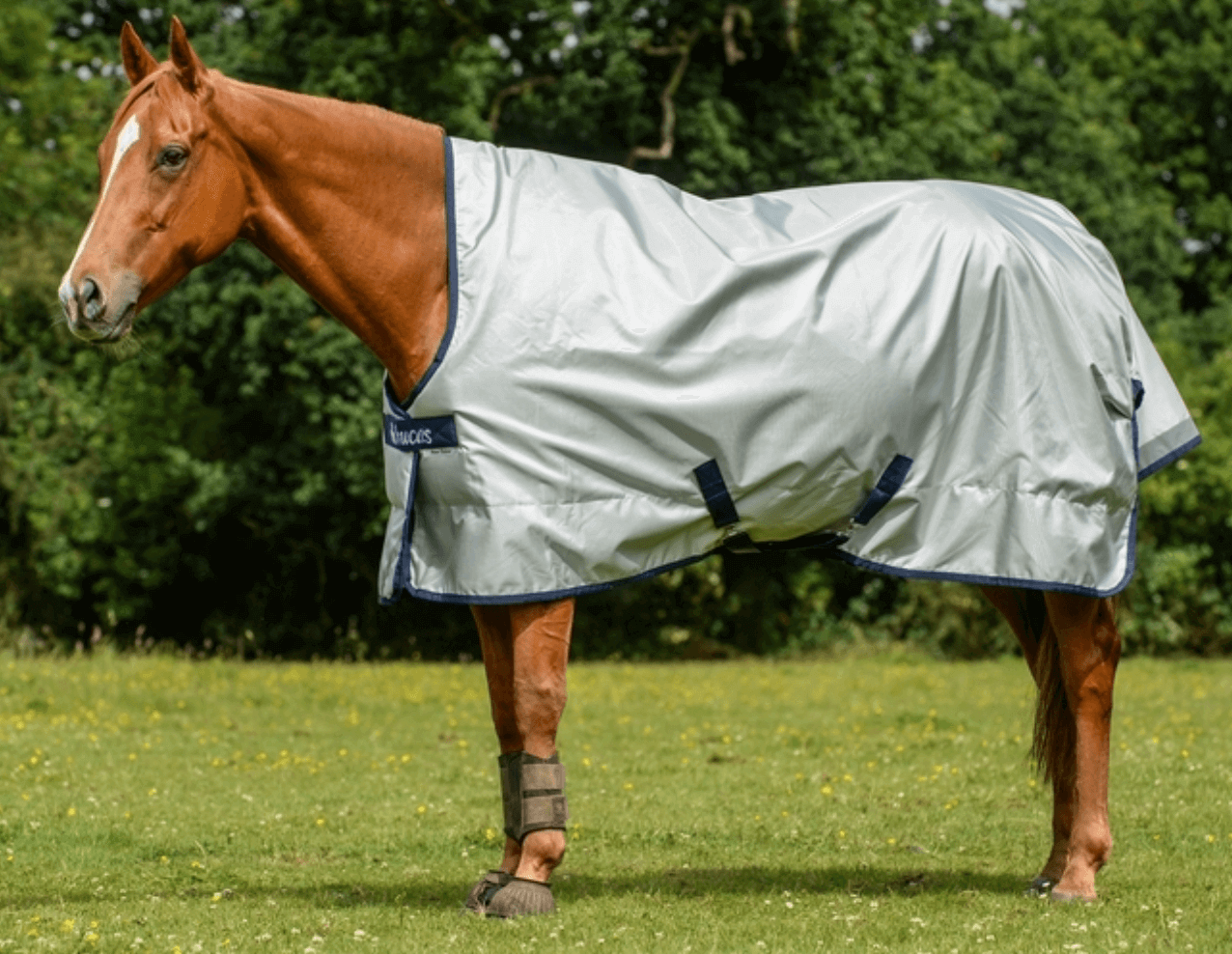 Bucas Outdoordecke 0g Power Turnout Light High Neck Regendecke Bucas Outdoordecke 0g Power Turnout Light High Neck Regendecke