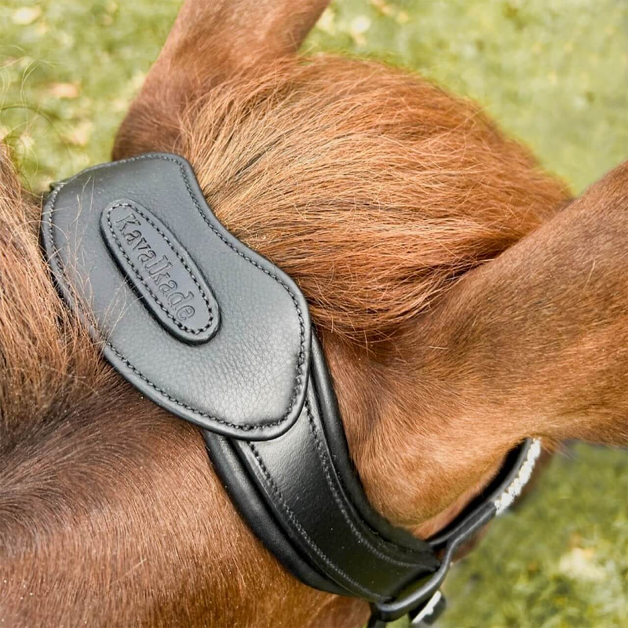 Kavalkade Genickstück Cre8 Malou Kavalkade Genickstück Cre8 Malou