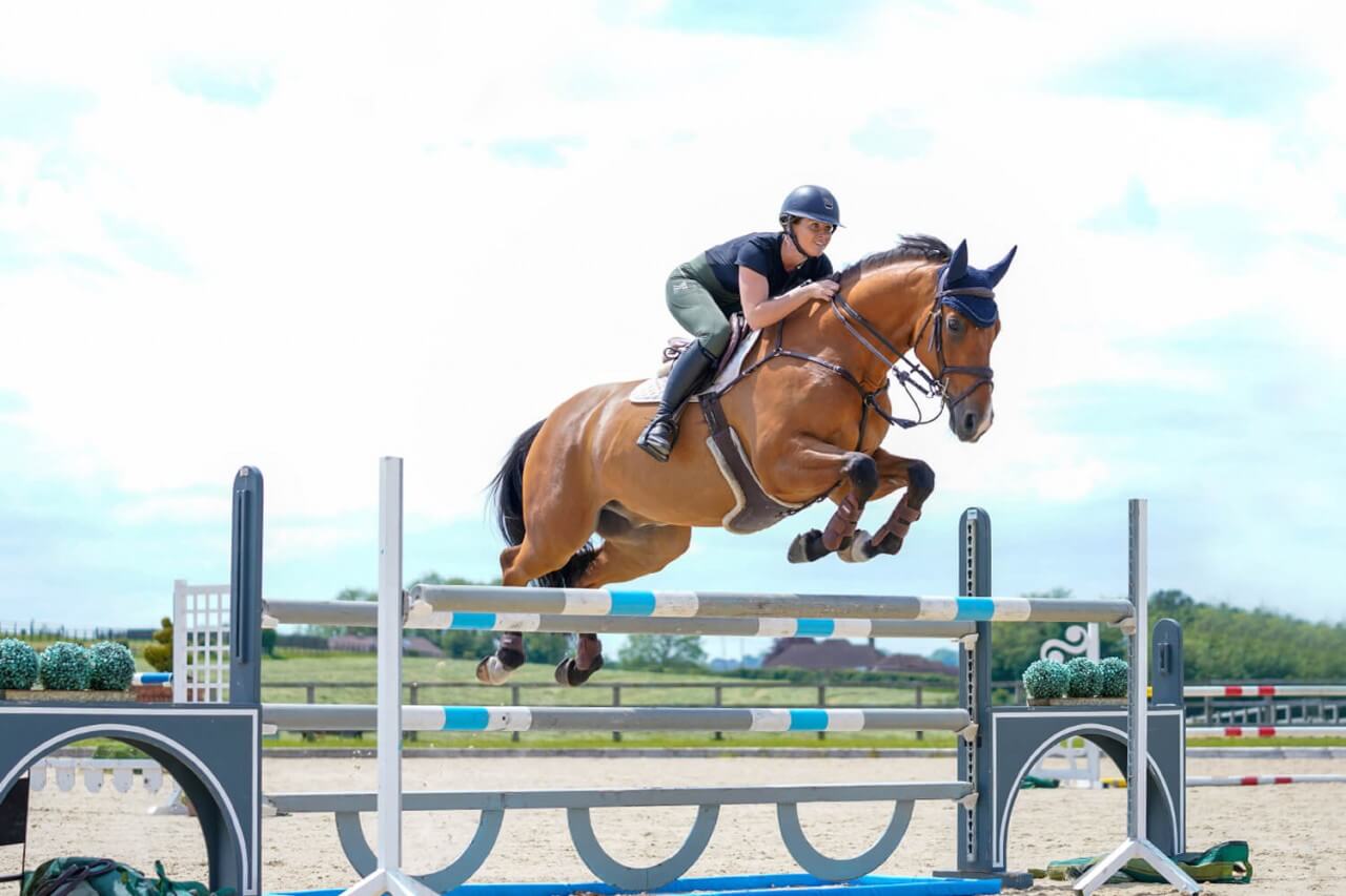 TitelbildddNcN9rNPmmc1