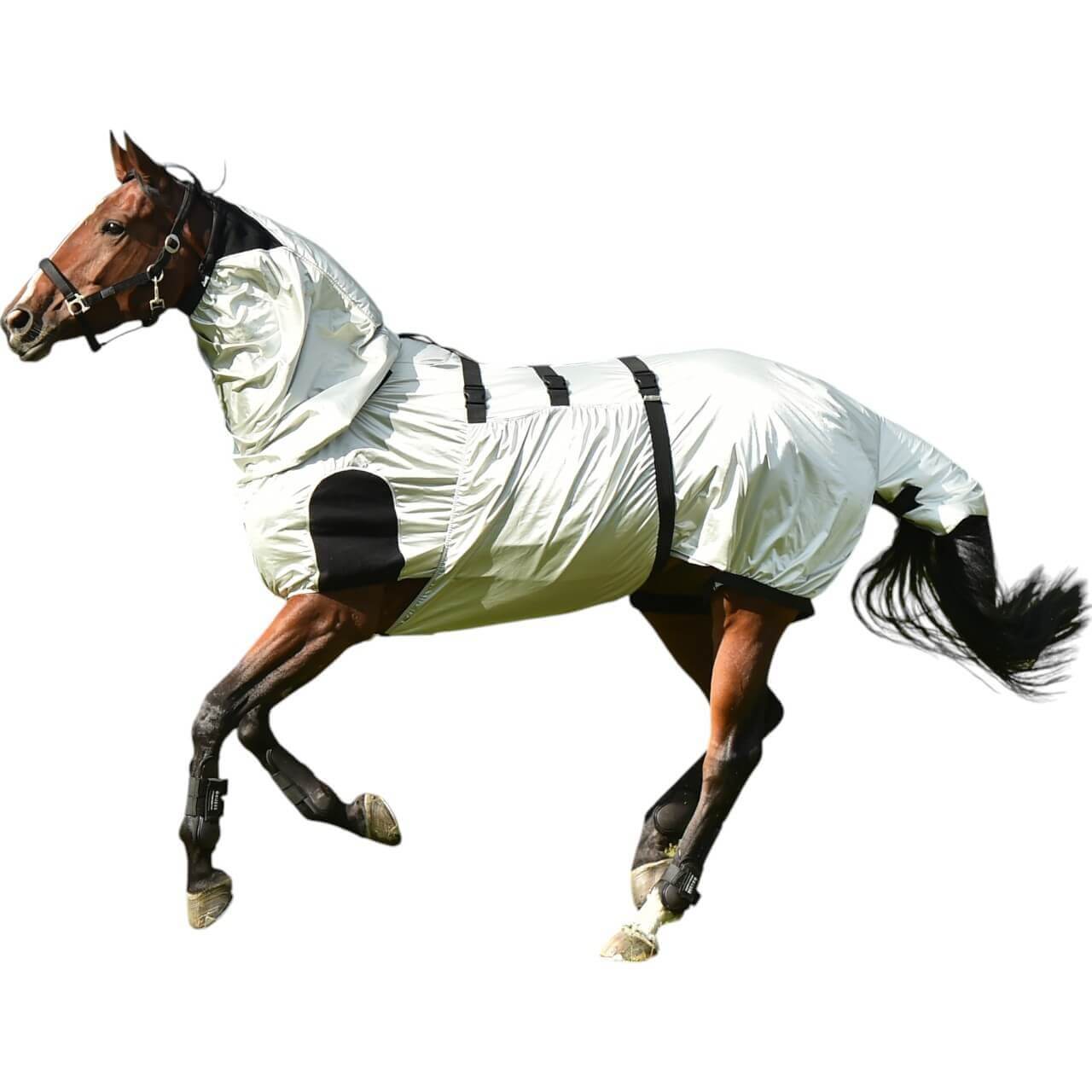 BUSSE Ekzemerdecke Strong Fliegendecke BUSSE Ekzemerdecke Strong Fliegendecke