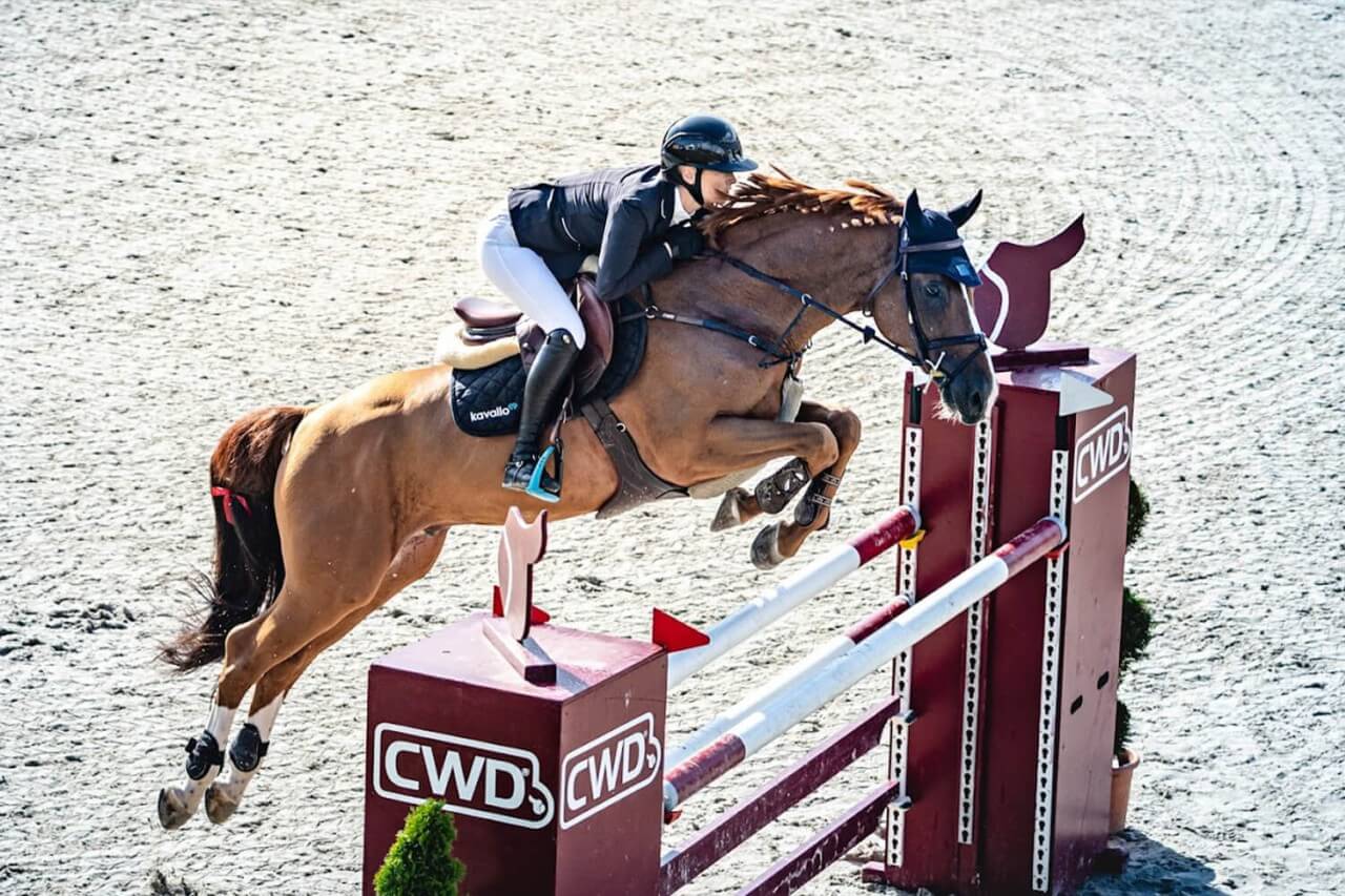 TitelbildOuJInqhdnB31V