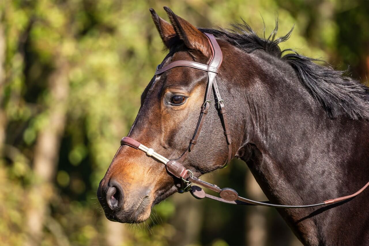 TitelbildDTGnaRvZ7c3XD