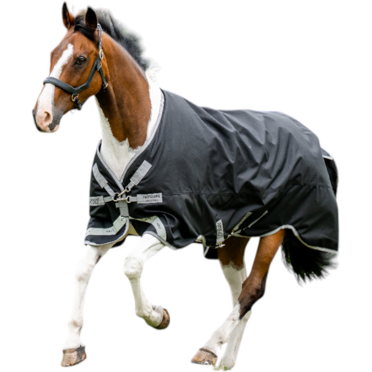 Horseware Ireland Weidedecke Amigo 0g 1200D Turnout Decke Horseware Ireland Weidedecke Amigo 0g 1200D Turnout Decke