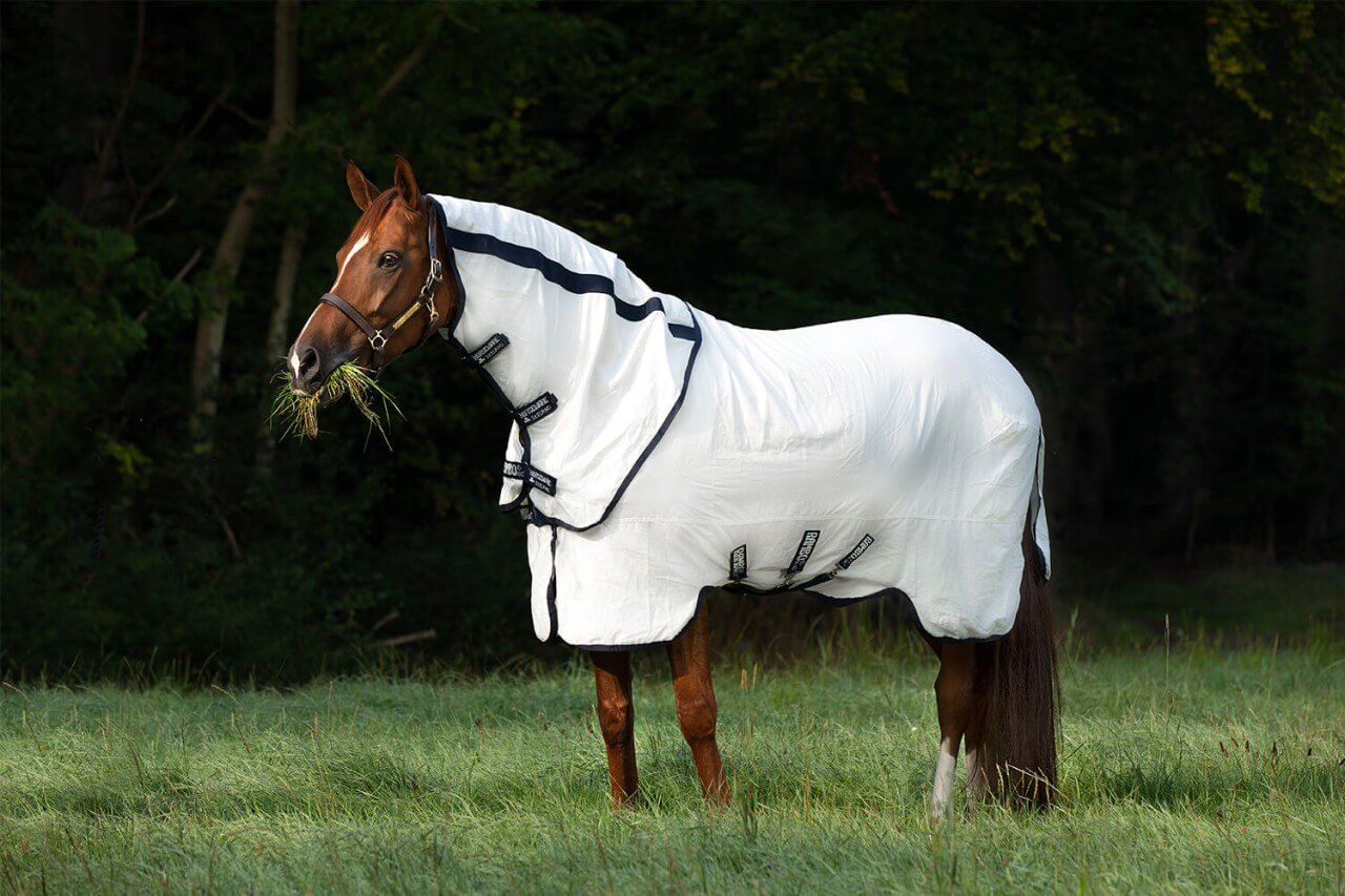 TitelbildUetPCPlIyuOs4