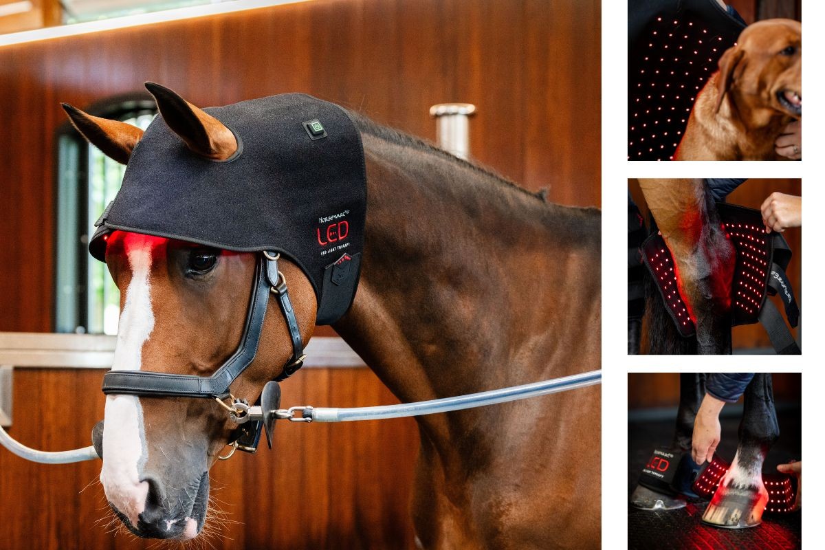 Design-ohne-Titel-16jyShdxHEPn828