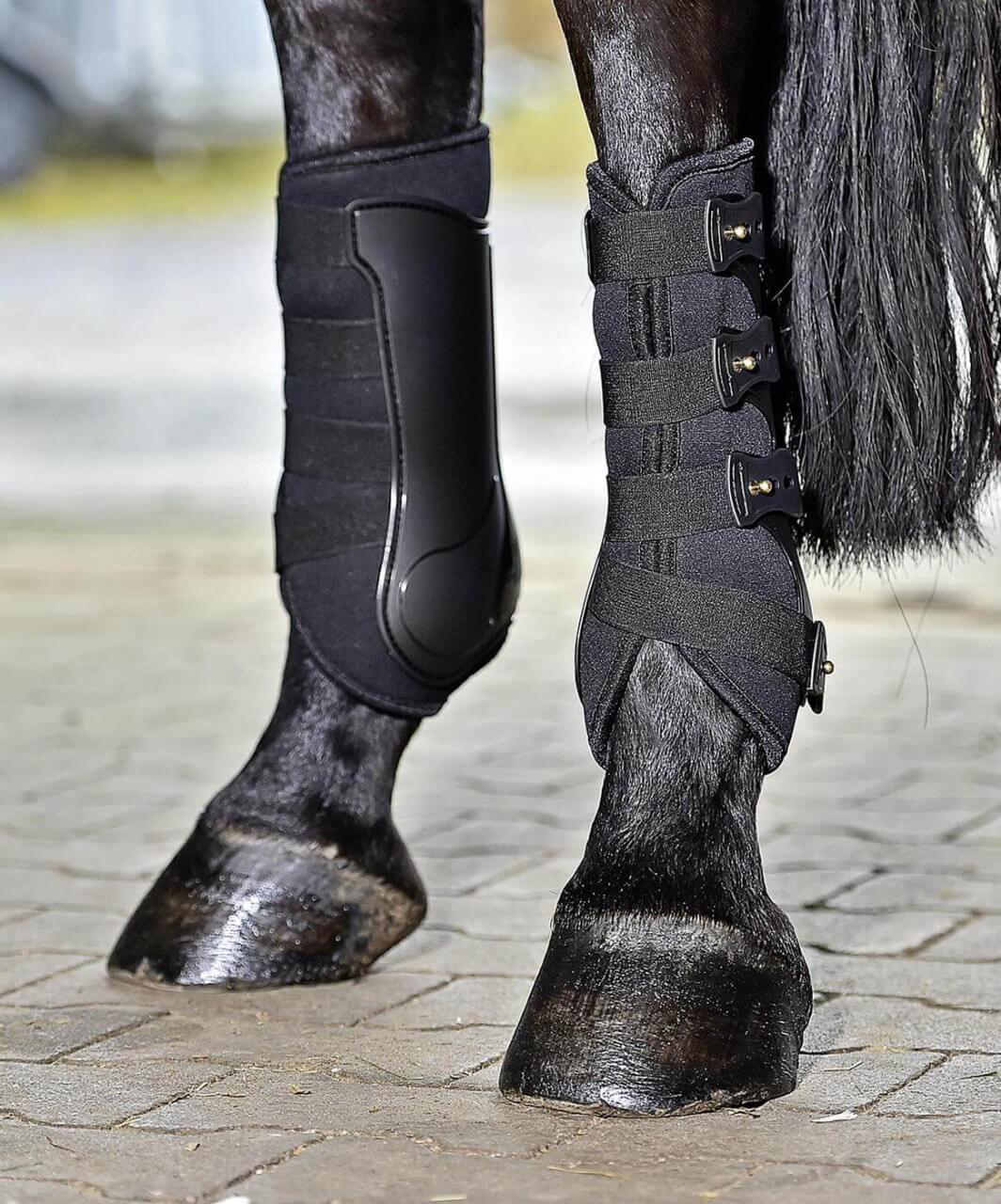 BUSSE Gamaschen Dressage- Pro Beinschutz BUSSE Gamaschen Dressage- Pro Beinschutz