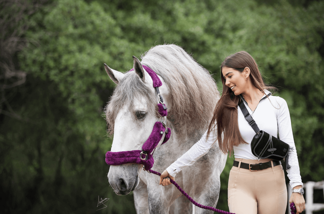 Bildschirmfoto-2022-08-04-um-16-37-39