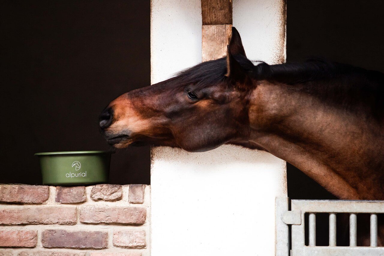 CW__7289-Kommerziell