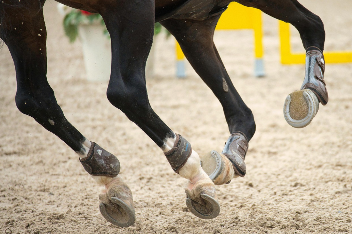 Design-ohne-TitelFpuIF3XZu68jX