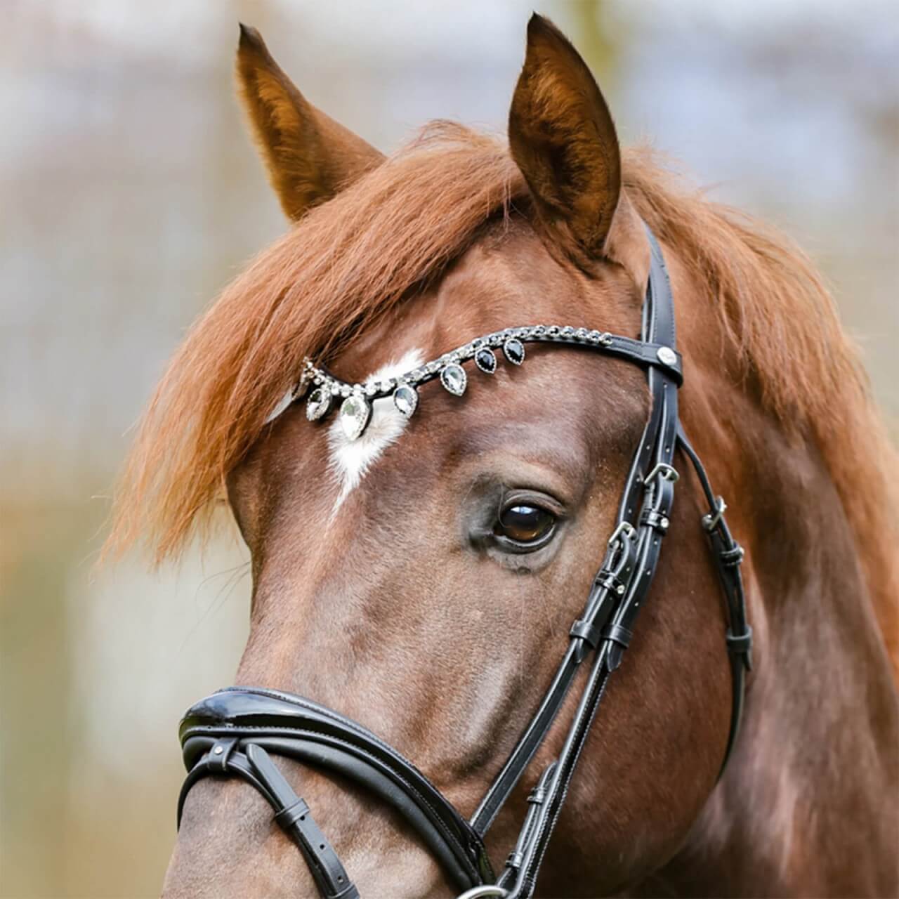 Kavalkade Stirnband Empress Stirnriemen Kavalkade Stirnband Empress Stirnriemen