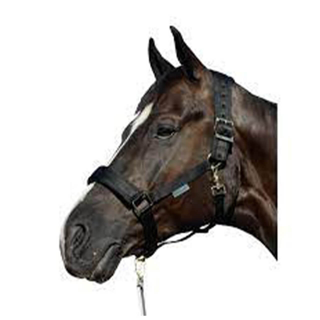 Bucas Halfter Comfort Halter Bucas Halfter Comfort Halter