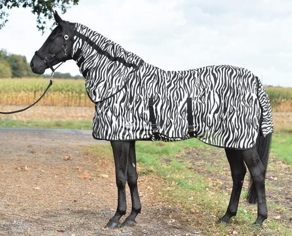 BUSSE Paddock- Fliegendecke Zebra mit Bauchlatz BUSSE Paddock- Fliegendecke Zebra mit Bauchlatz