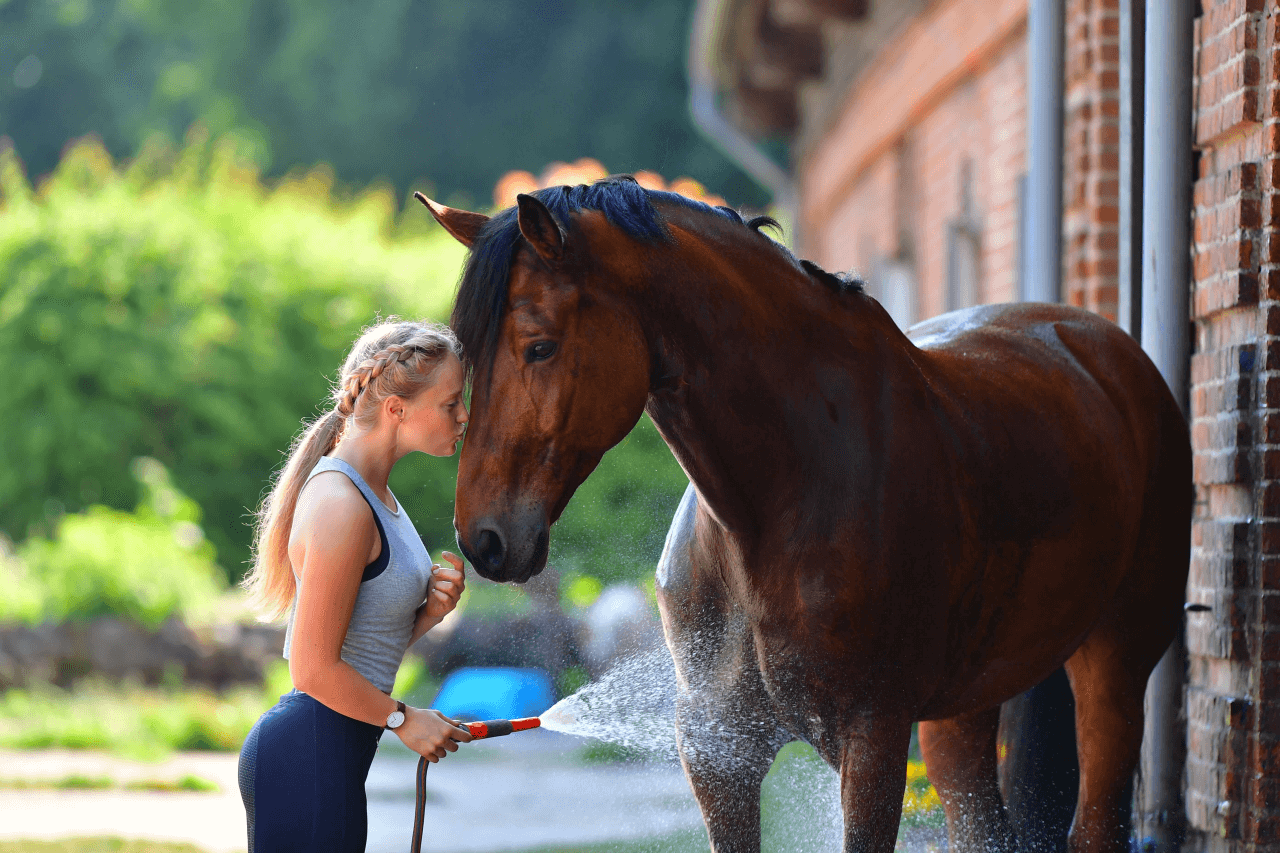 MicrosoftTeams-image-5JzRoJqj8mKMKa