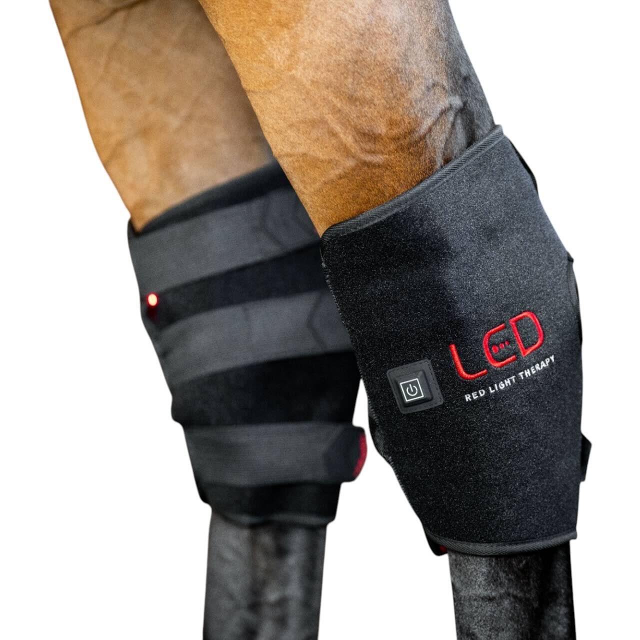 Horseware Ireland Sprunggelenksgamasche Hinterbein LED-Rotlicht-Therapie Therapiegamasche Horseware Ireland Sprunggelenksgamasche Hinterbein LED-Rotlicht-Therapie Therapiegamasche