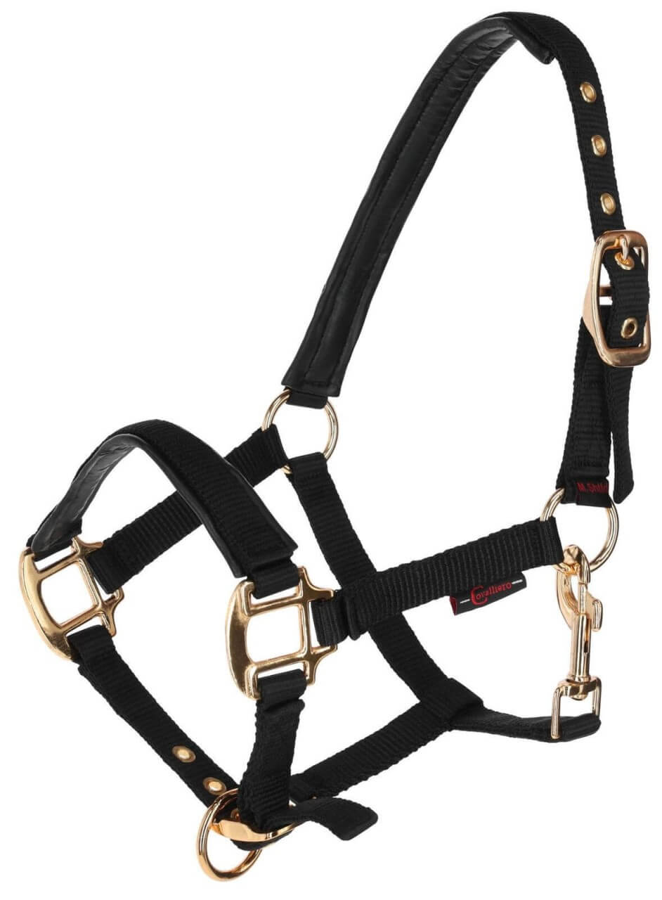 Covalliero Fohlenhalfter TopLine Covalliero Fohlenhalfter TopLine