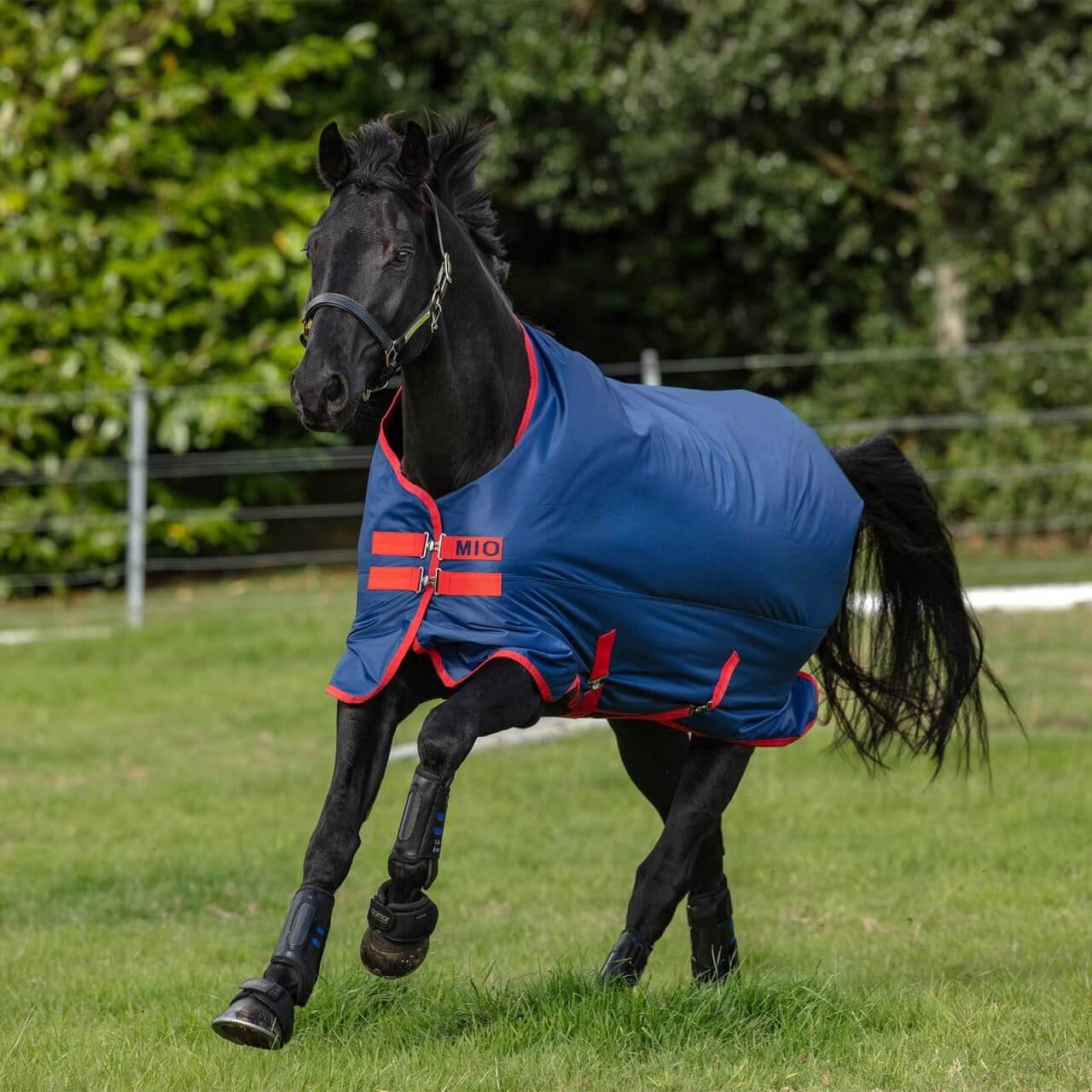Horseware Ireland Outdoordecke 0g Mio Turn Out Lite Regendecke Horseware Ireland Outdoordecke 0g Mio Turn Out Lite Regendecke