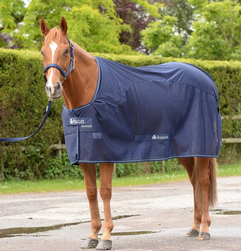 Bucas Abschwitzdecke Competition Cooler Bucas Abschwitzdecke Competition Cooler