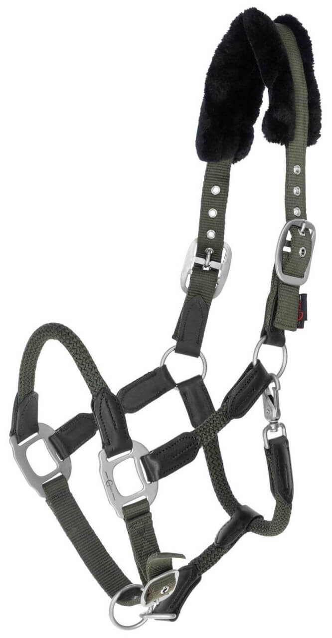 Covalliero Halfter Cordano Nylonhalfter Covalliero Halfter Cordano Nylonhalfter