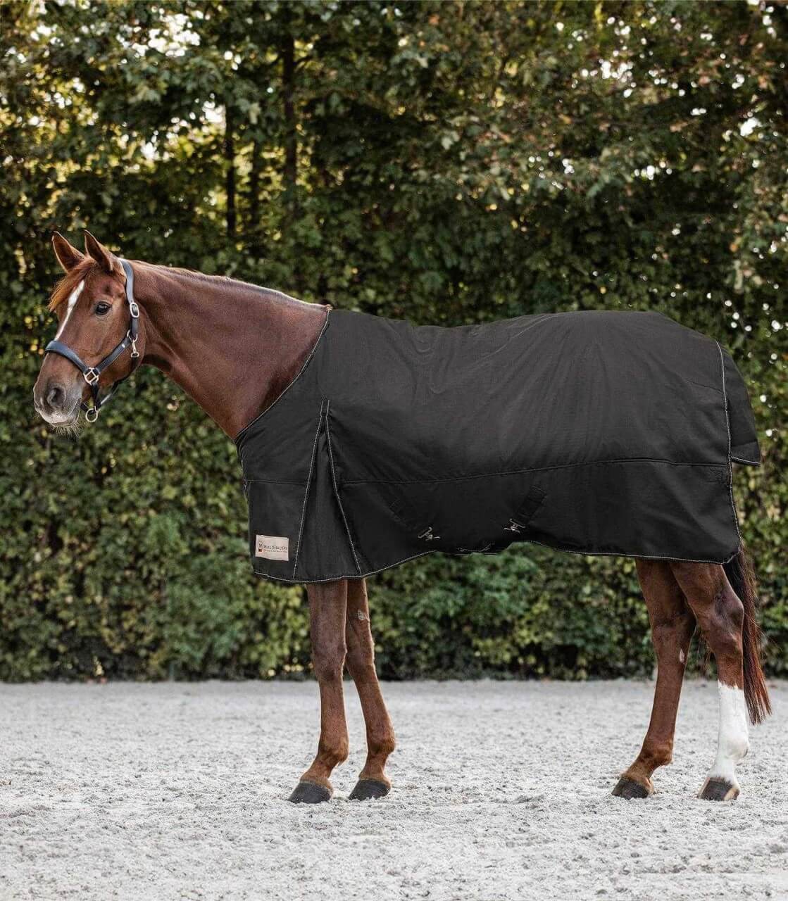 Waldhausen Outdoordecke 0g Nordic Fleece Regendecke Waldhausen Outdoordecke 0g Nordic Fleece Regendecke