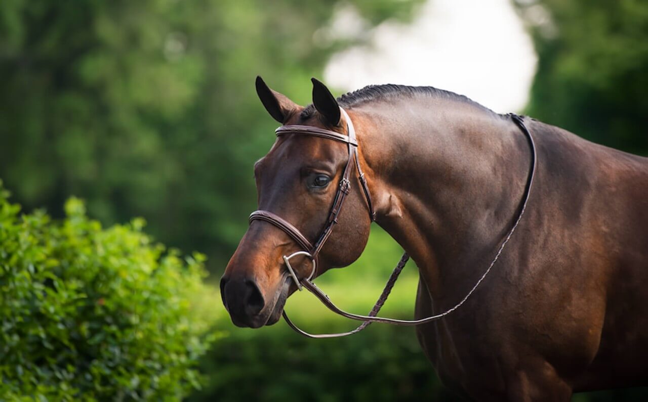 Blog-TitelbildNFD8OQoStuv4x