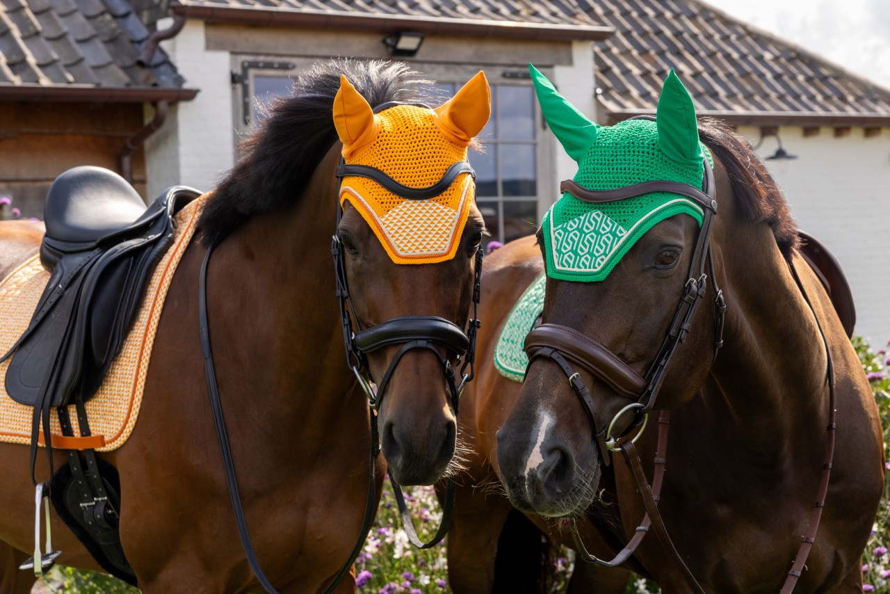 e8df02d6b047d2b04ab2fefc04c3ec2f168b82ae94e4e77a47681d80aa02559b