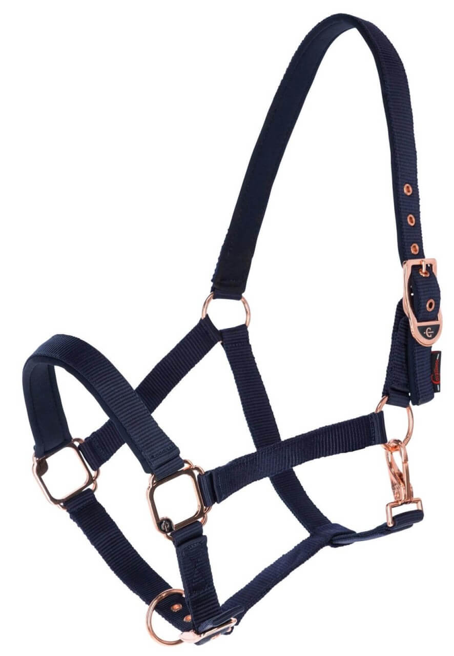 Covalliero Halfter Classy Nylonhalfter Covalliero Halfter Classy Nylonhalfter