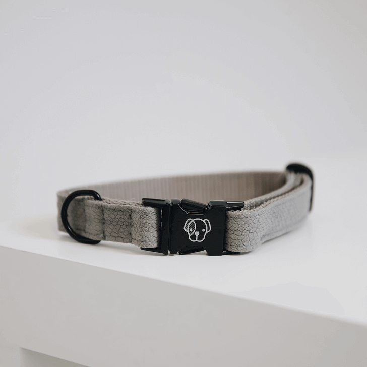 Kentucky Dogwear Halsband Lizard Hundehalsband Kentucky Dogwear Halsband Lizard Hundehalsband